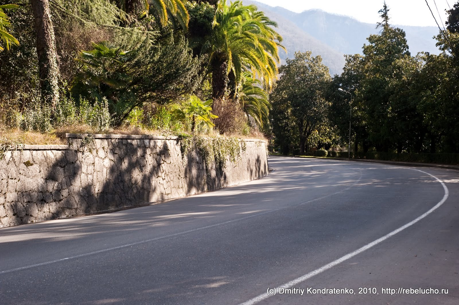 gagra2010-30.jpg