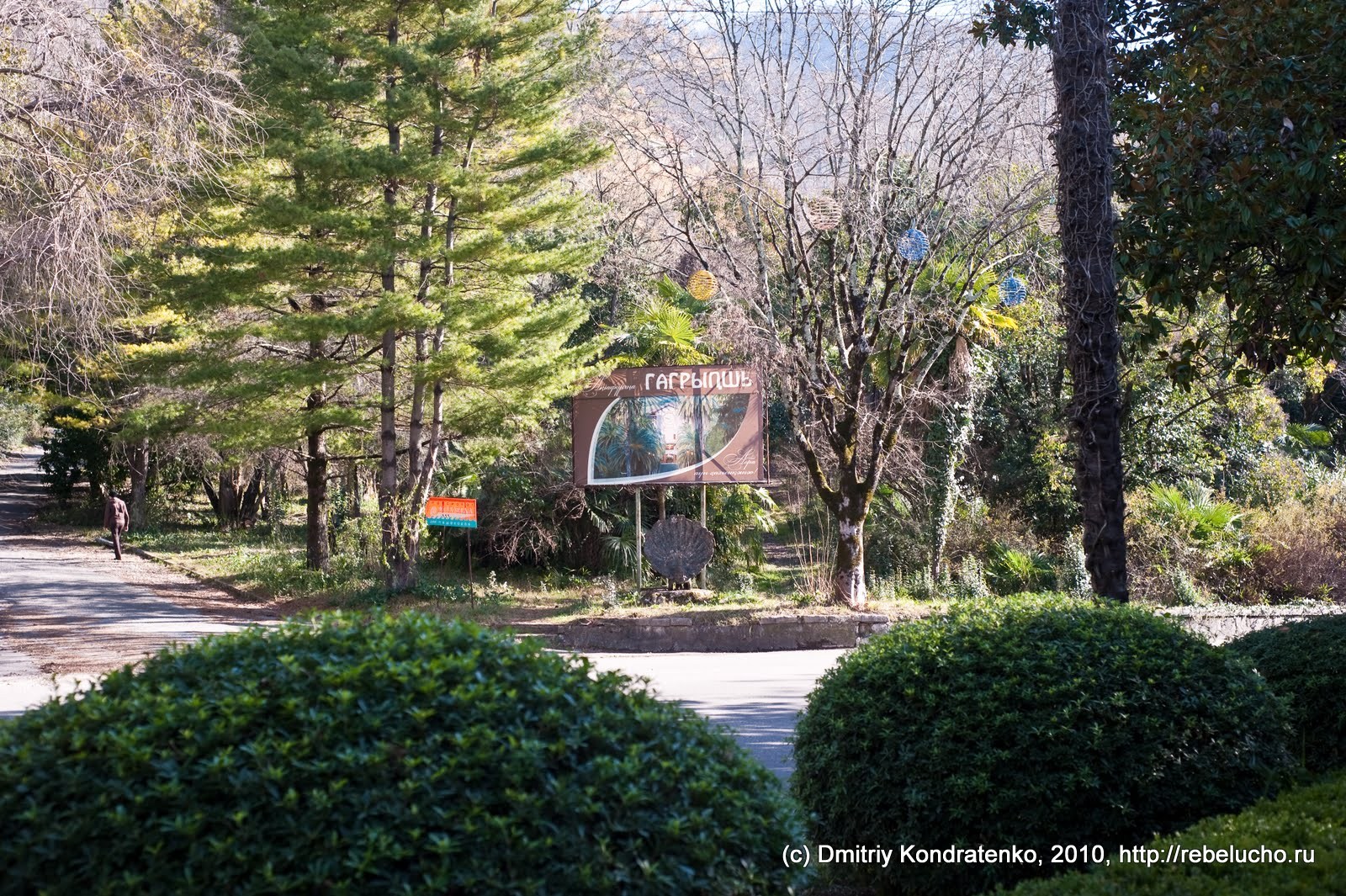 gagra2010-35.jpg