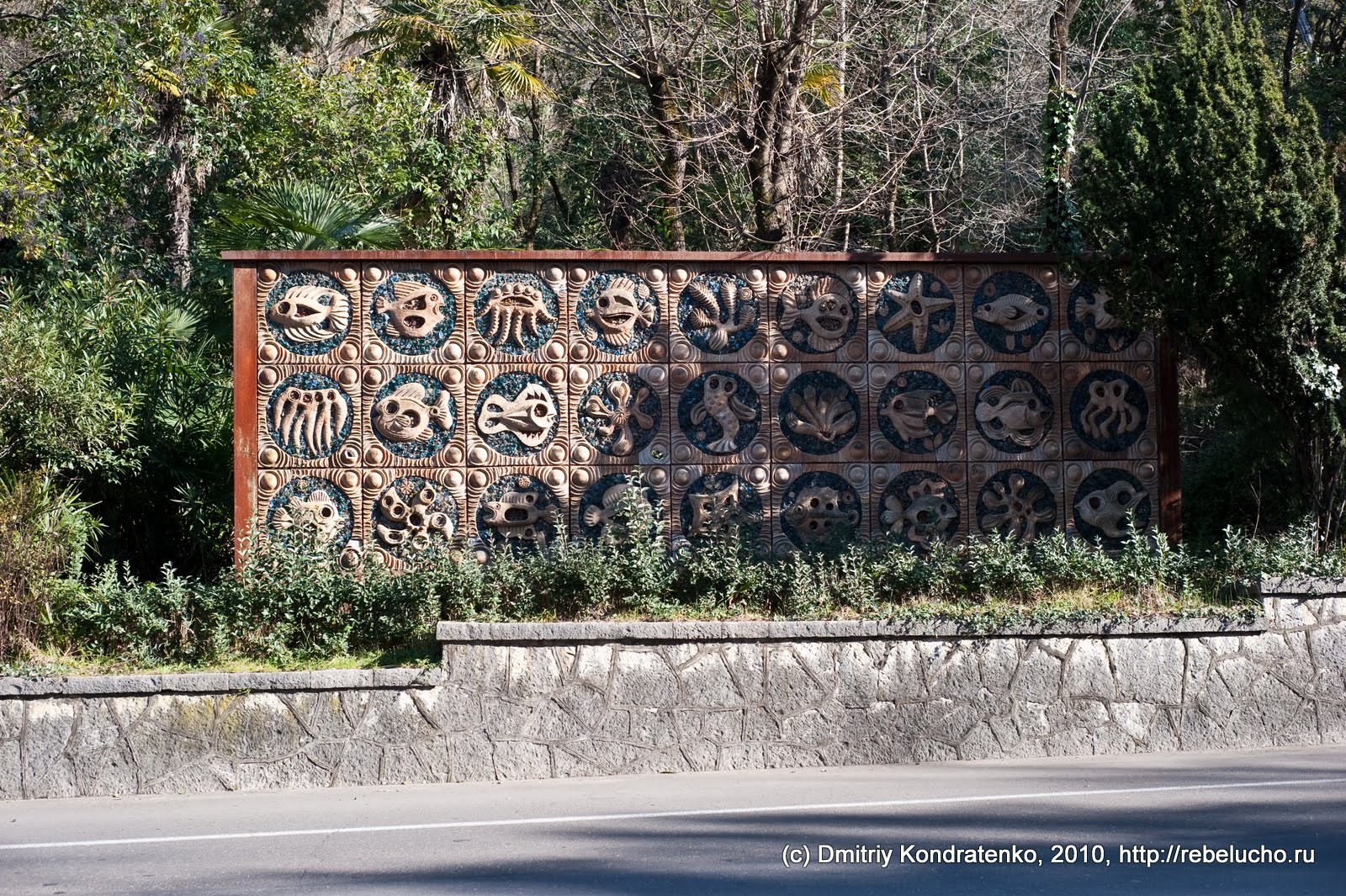 gagra2010-36.jpg