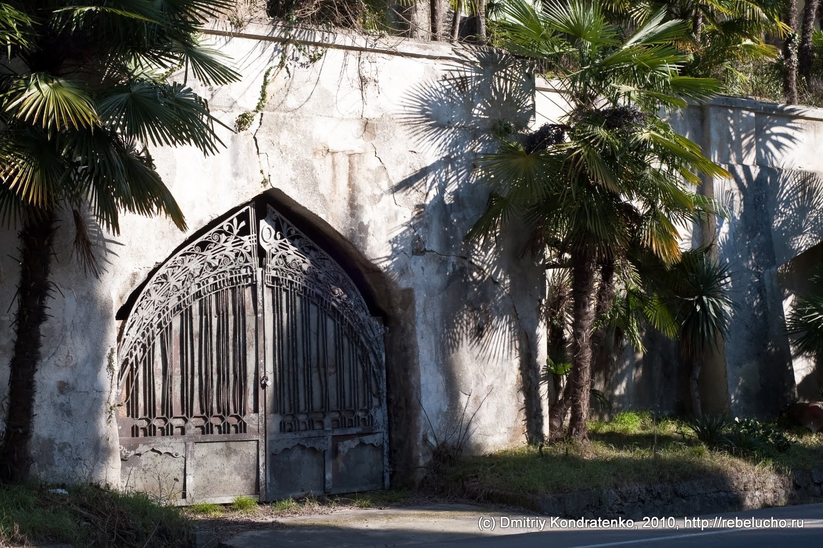 gagra2010-40.jpg