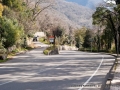 gagra2010-27.jpg