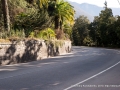 gagra2010-30.jpg