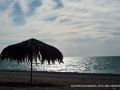 gagra2010-42.jpg